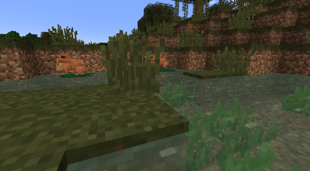 minecraft snapshot 1.19 grenouilles mud boue mangrove marées swamps