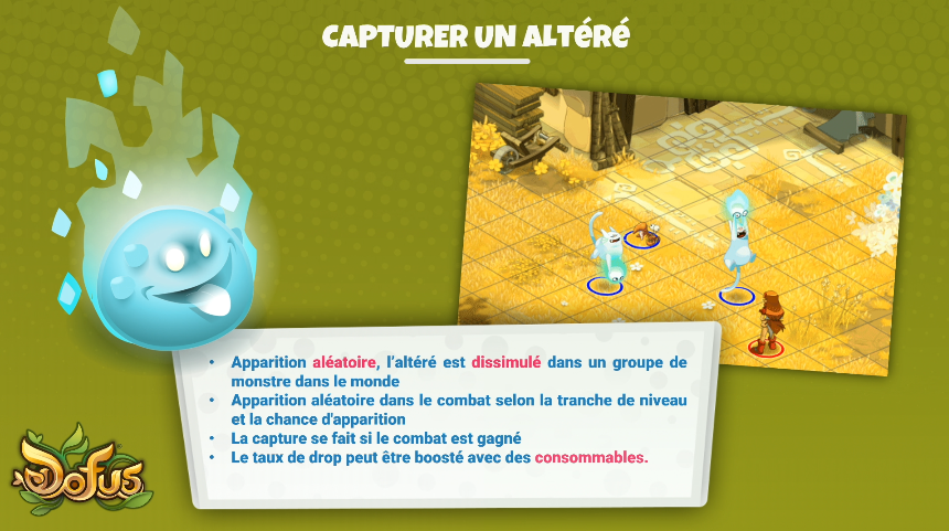 dofus temporis 7 informations récap résumé tout savoir guide complet