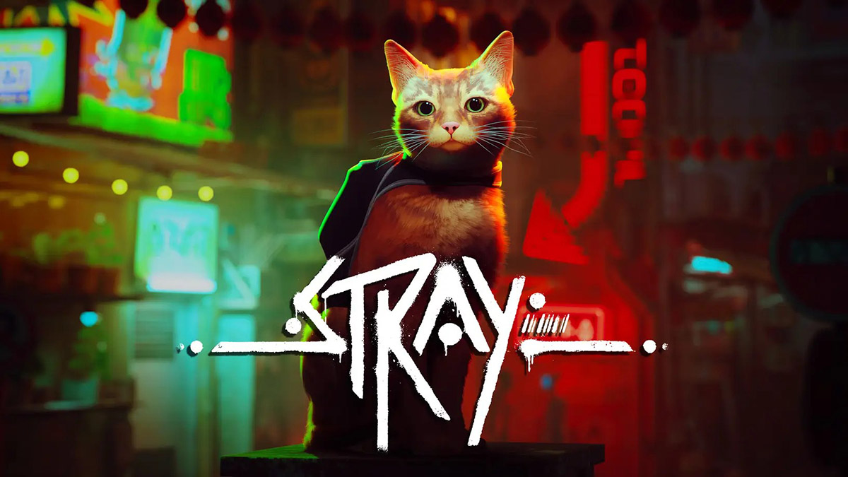 stray-bande-annonce-date-de-sortie