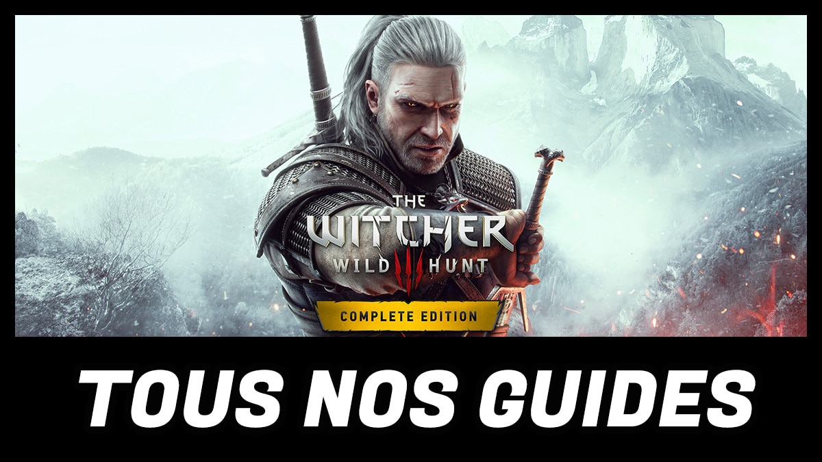 minia meta guide the witcher 3