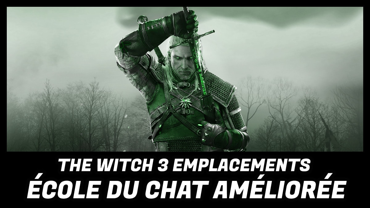 minia améliorée the witcher 3