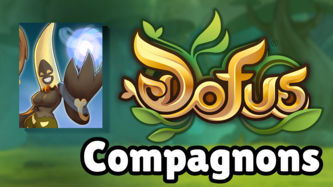 DOFUS : Riktus ensorceleuse, compagnon et ancienne incarnation