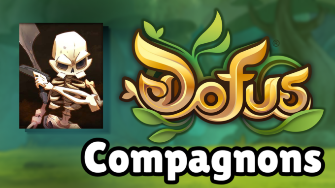 DOFUS : Guide de Kocksis, compagnon et ancienne incarnation