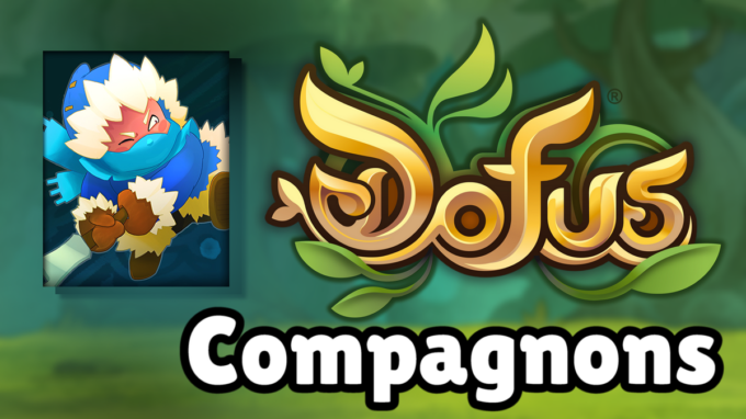 DOFUS : Guide de Styx, compagnon et ancienne incarnation