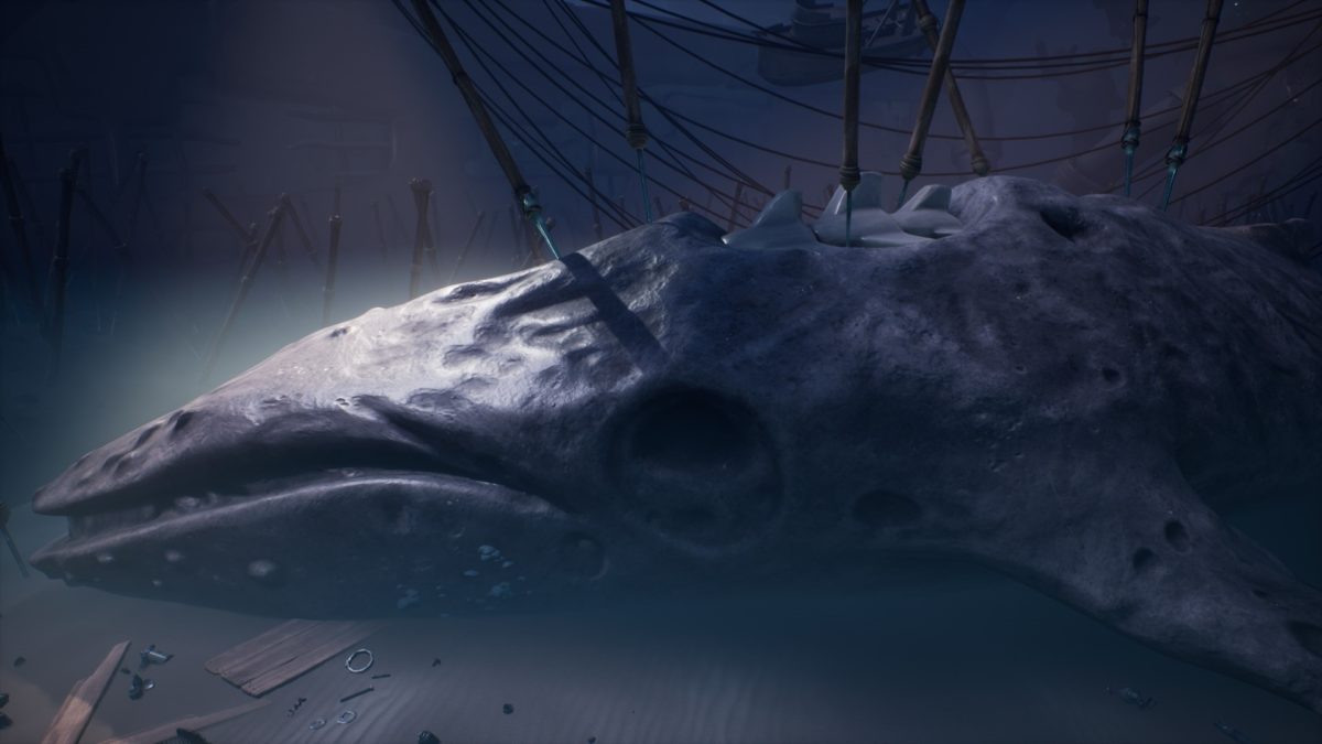 cadavre-baleine-after-us-harpon-biome-marin-decomposition