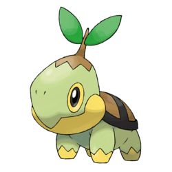 Arwork de Tortipouss dans Pokémon Écarlate et Violet