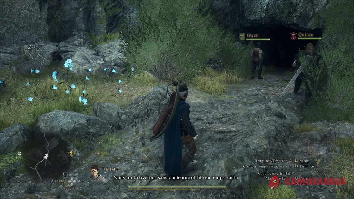 dragons-dogma-2-quete-dans-la-gueule-du-loup-piste-fleurs-bleues