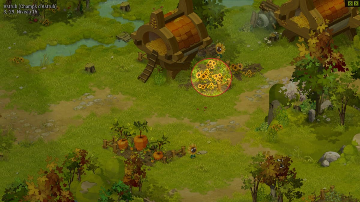 dofus-carte-le-soleil-quete-xelor-tarot-tes-tres-fort-scaled