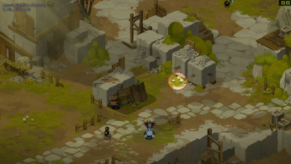 dofus-appat-3-quete-attention-a-la-bete