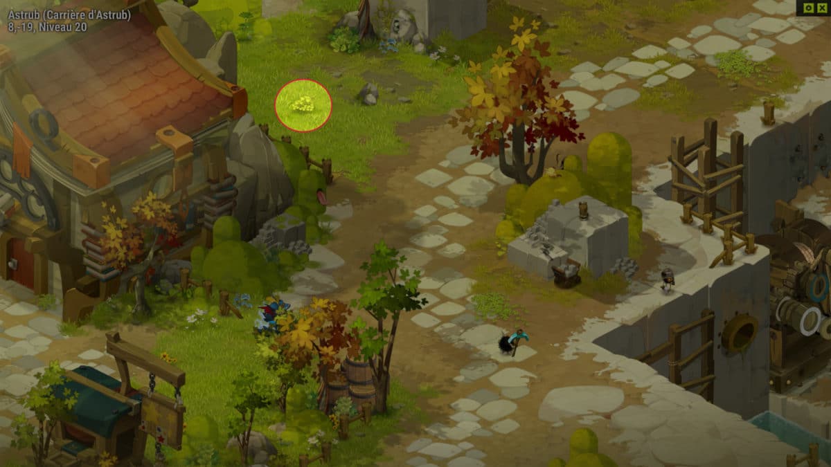 dofus-appat-5-quete-attention-a-la-bete