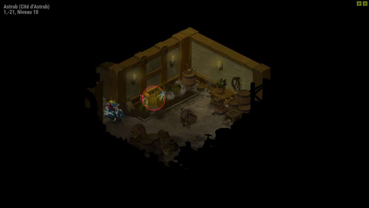 dofus-arroser-plantes-quete-qui-seme-le-vent-recolte-lartempeth