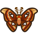 animal-crossing-new-horizons-insecte-attacus-atlas