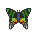 animal-crossing-new-horizons-insecte-chrysiridia-rhipheus