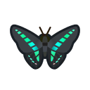 animal-crossing-new-horizons-insecte-graphium-sarpedon