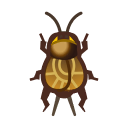 animal-crossing-new-horizons-insecte-grillon-des-pres