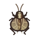 animal-crossing-new-horizons-insecte-grillon-du -midi