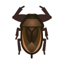 animal-crossing-new-horizons-insecte-punaise-deau-geante