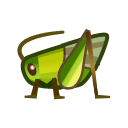 animal-crossing-new-horizons-insecte-sauterelle