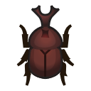 animal-crossing-new-horizons-insecte-scarabee-kabuto