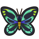 animal-crossing-new-horizons-insecte-troides-alexandrae