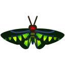animal-crossing-new-horizons-insecte-troides-brookiana