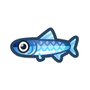 animal-crossing-new-horizons-poisson-anchois