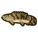 animal-crossing-new-horizons-poisson-bichir