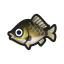 animal-crossing-new-horizons-poisson-carassin