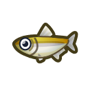 animal-crossing-new-horizons-poisson-eperlan