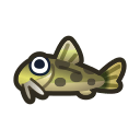 animal-crossing-new-horizons-poisson-loche-détang