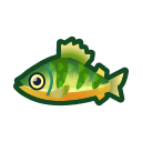 animal-crossing-new-horizons-poisson-perche-jaune