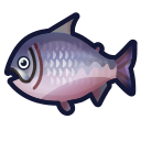 animal-crossing-new-horizons-poisson-saumon-roi