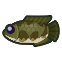 animal-crossing-new-horizons-poisson-tete-de-serpent