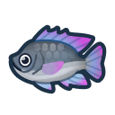 animal-crossing-new-horizons-poisson-tilapia