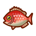 animal-crossing-new-horizons-poisson-vivaneau