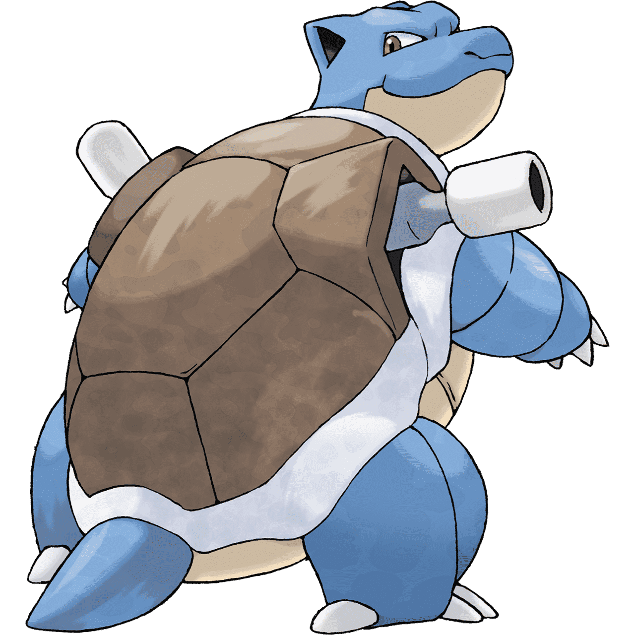 Pokémon Diamant Étincelant et Perle Scintillante Artwork Tortank