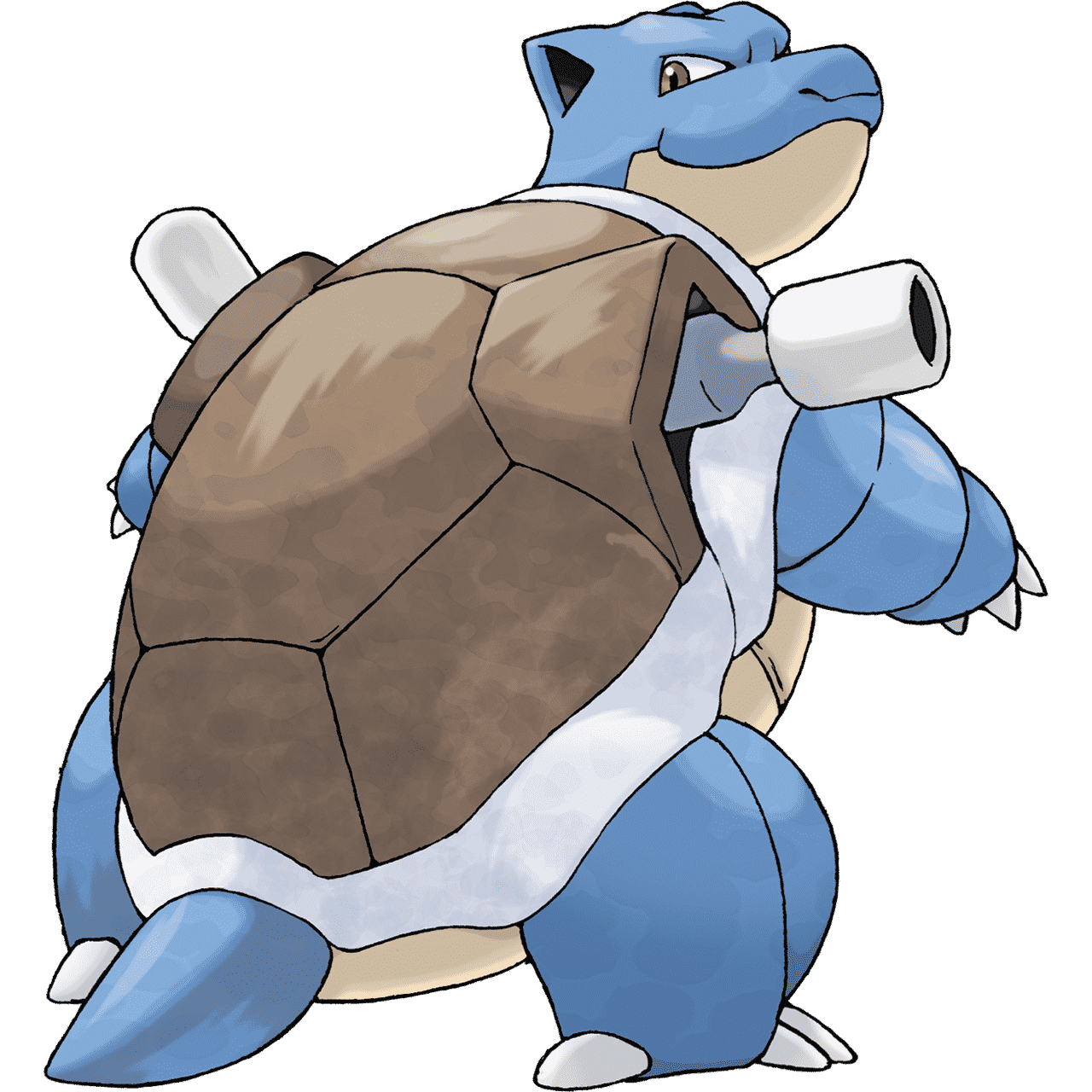 Fiche de Carapuce / Squirtle - Pokédex Pokémon GO 