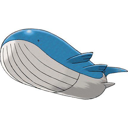 Pokémon Artwork Wailord