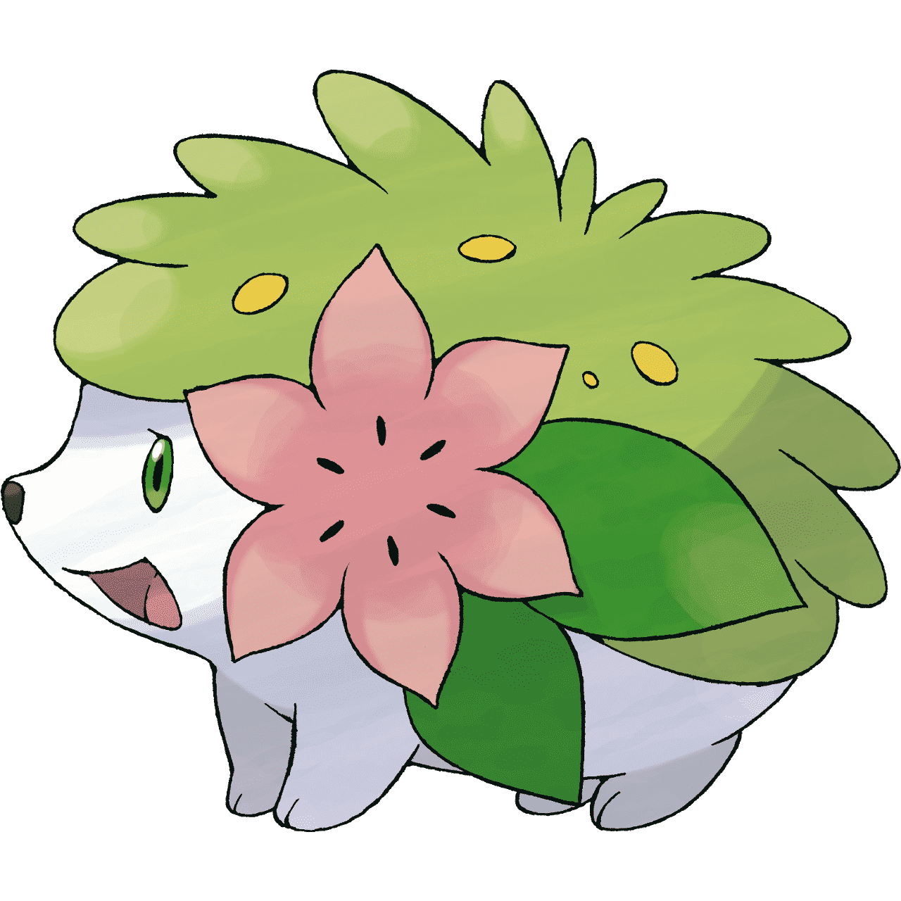 Pokémon Artwork Shaymin