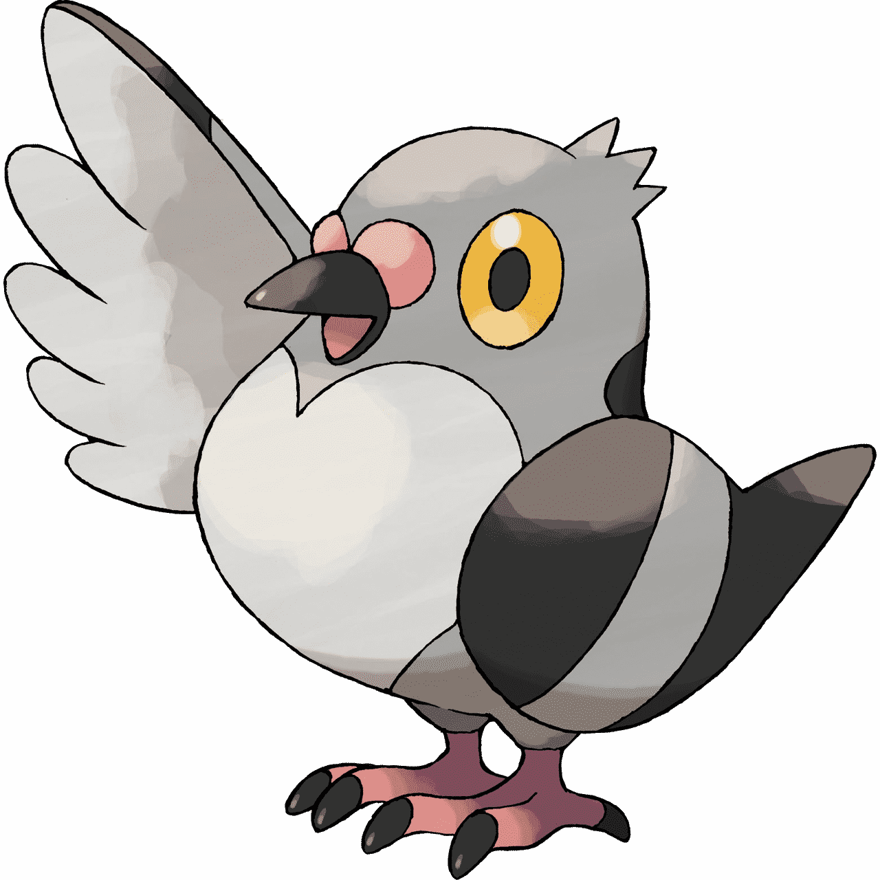 Pokémon Artwork Poichigeon