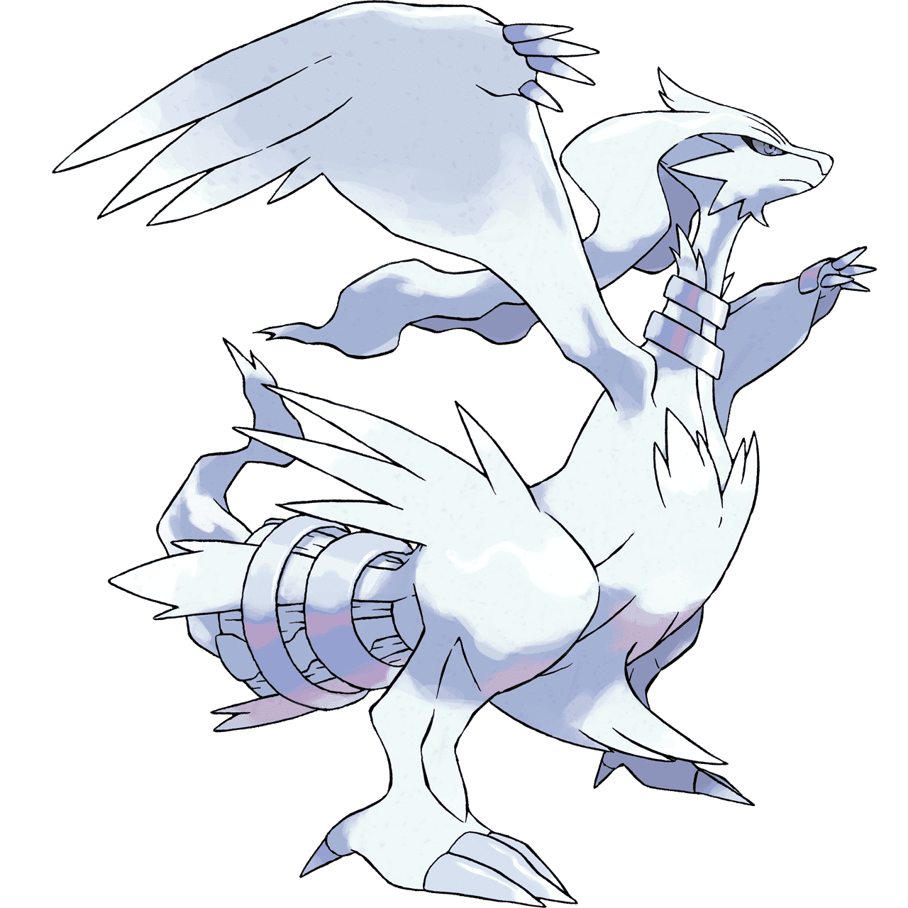 Pokémon Artwork Reshiram