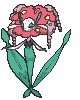 Pokémon Apparence Florges