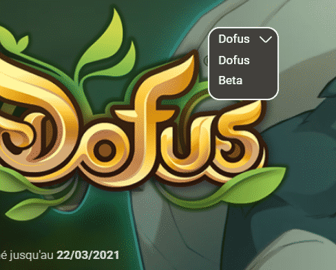 Dofus - Ankama Launcher, se connecter à la beta