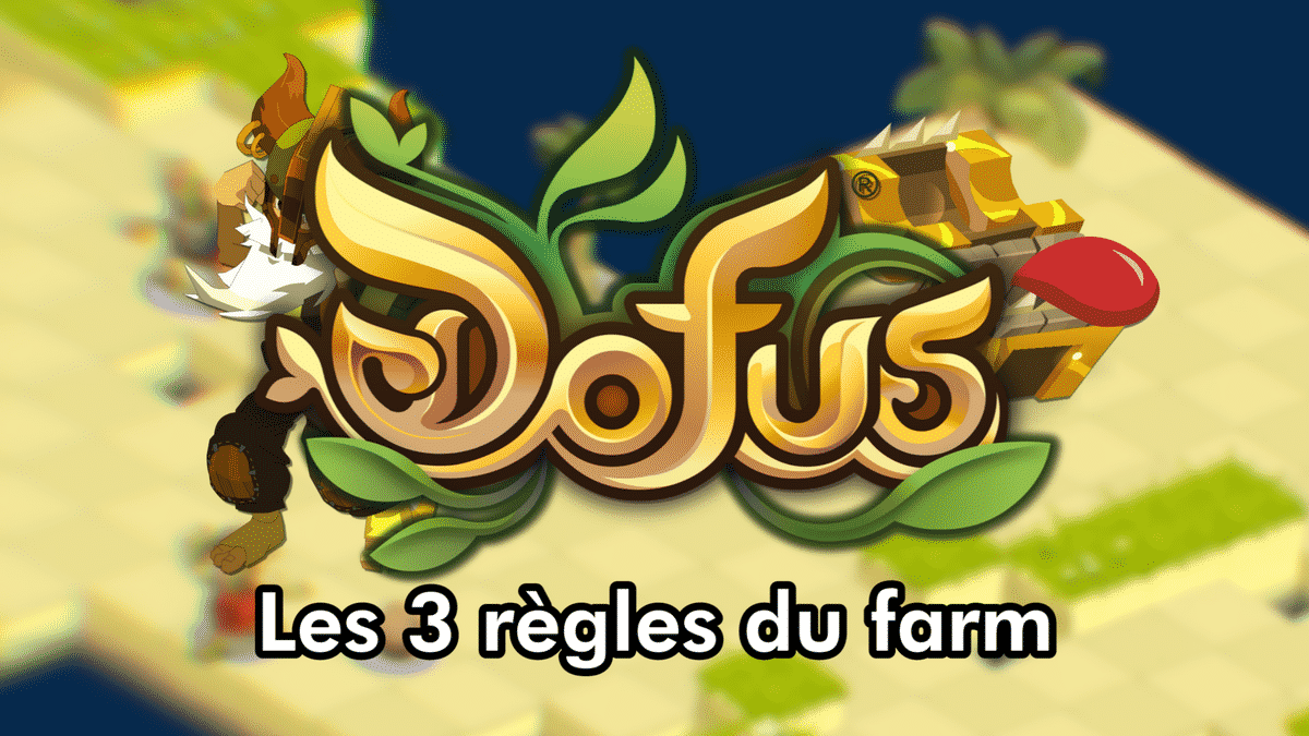 DOFUS - Guide des zones de farm, astuces et règles