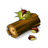 Dofus - Chataigner