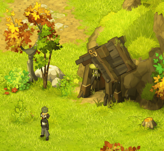 DOFUS - Toutes les mines d'Amakna 8 Amak Kartonpath