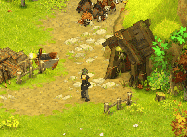 DOFUS - Toutes les mines d'Amakna 7 Amak MineHerale