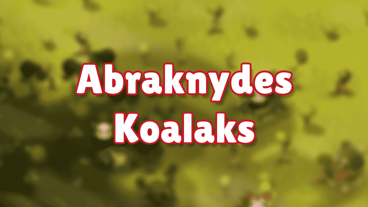 Dofus - Toutes les mines des Abraknydes et Koalaks