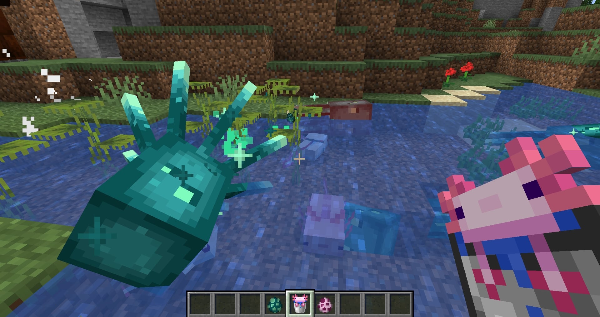 Minecraft 1.17 - Axolotl et Glow Squid